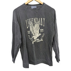 Hudson Gray Long Sleeve Men's Small T Shirt Eagle Western Biker Casual Grey